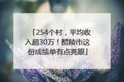 254个村，平均收入超30万！醴陵市这份成绩单有点亮眼
