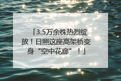 3.5万余株热烈绽放！日照这座高架桥变身“空中花廊”！