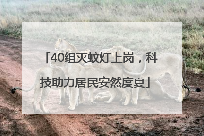 40组灭蚊灯上岗，科技助力居民安然度夏