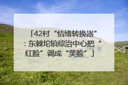42村“情绪转换器”：东棘坨镇综治中心把“红脸”调成“笑脸”
