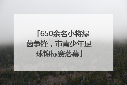 650余名小将绿茵争锋，市青少年足球锦标赛落幕