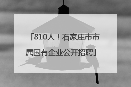 810人！石家庄市市属国有企业公开招聘