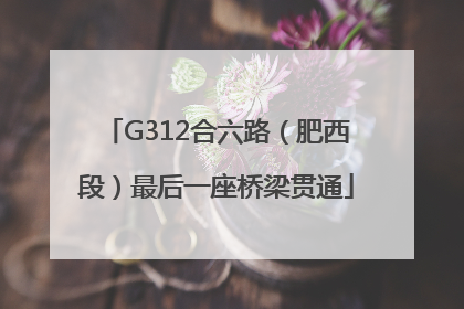 G312合六路（肥西段）最后一座桥梁贯通